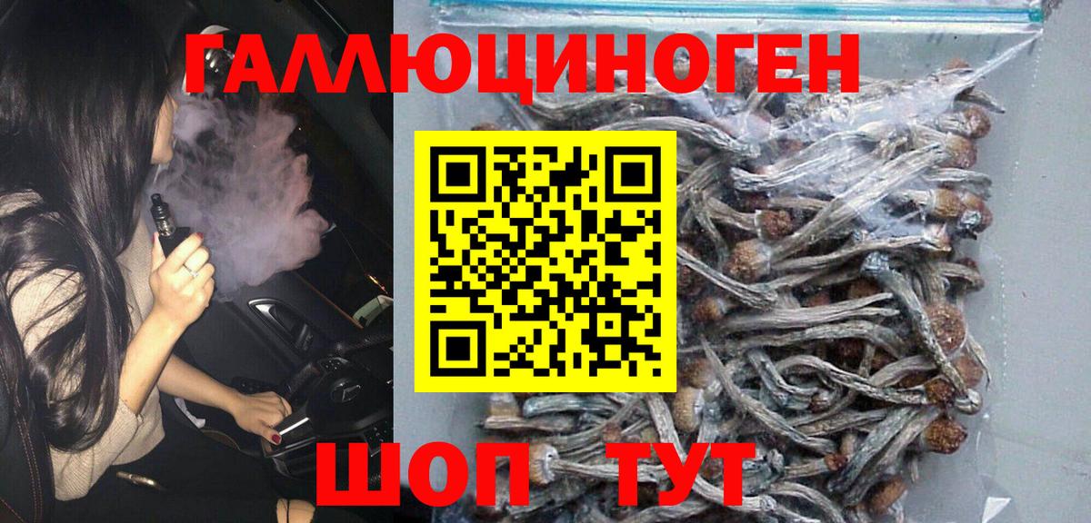 Псилоцибиновые грибы GOLDEN TEACHER Малоярославец