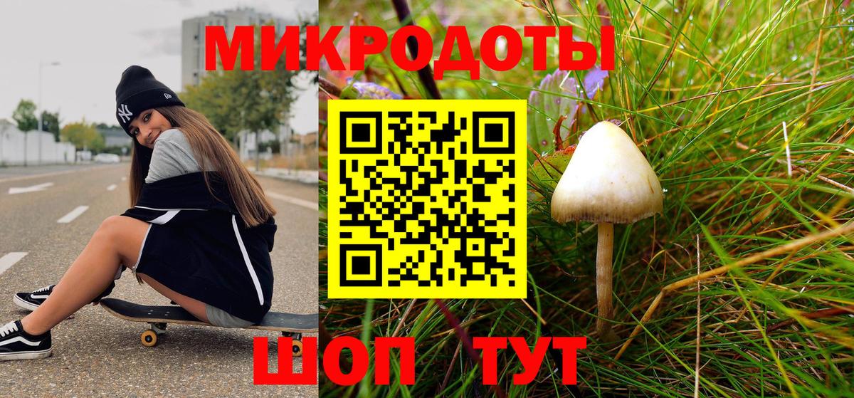 Галлюциногенные грибы мицелий  Псилоцибиновые грибы мицелий  Малоярославец  купить наркоту  Вход с VPN 